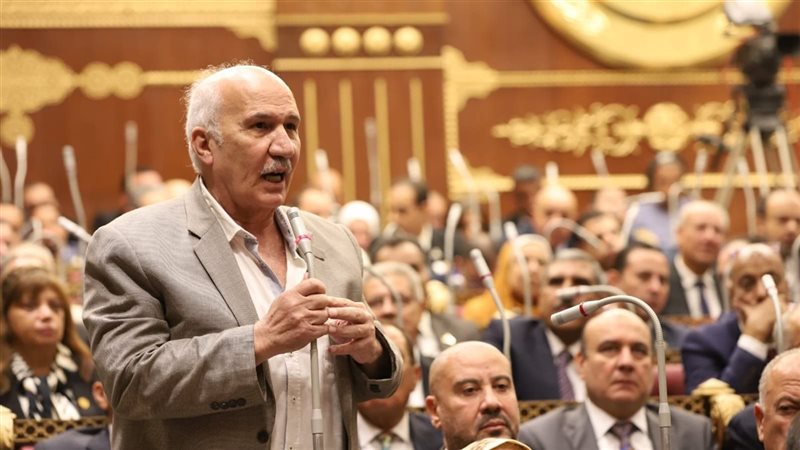 النائب السيد عبدالعال