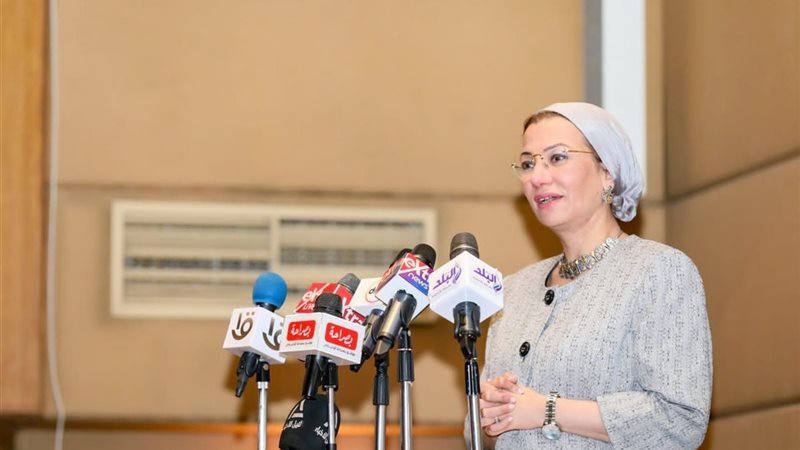 الدكتورة ياسمين فؤاد