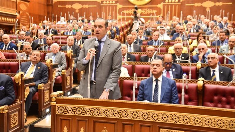 المستشار محمود فوزي،