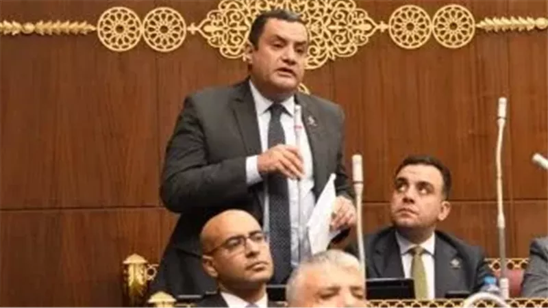 النائب أكمل نجاتي،