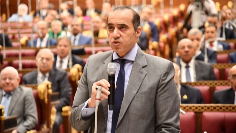 المستشار محمود فوزي،