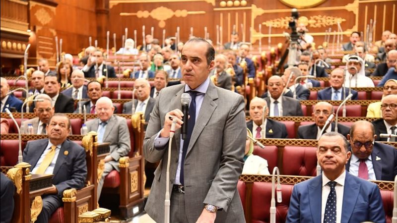 المستشار محمود فوزي