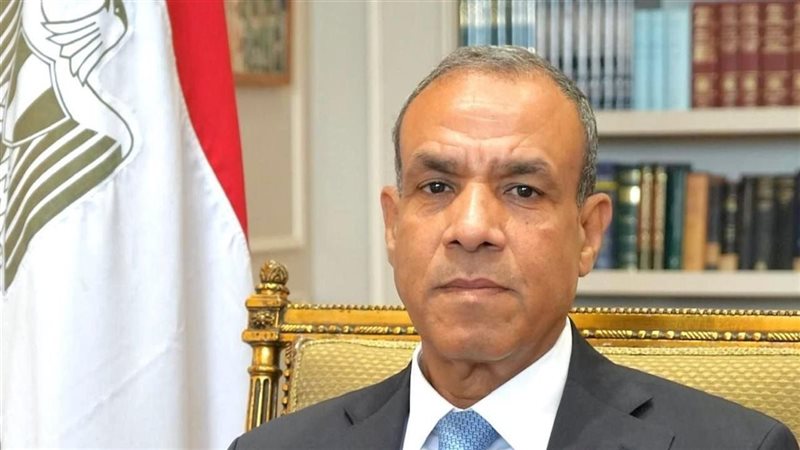 بدر عبد العاطي وزير