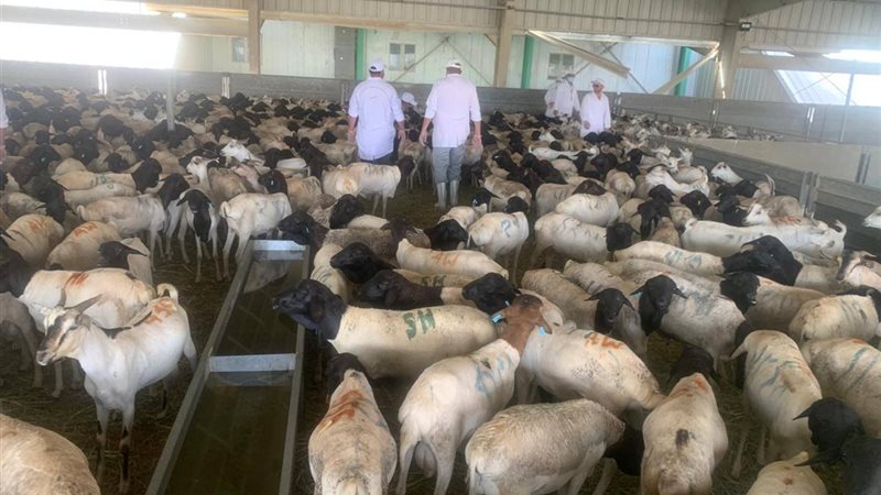 بعثة الأطباء
