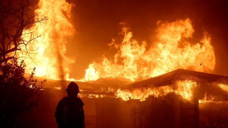 دخان حرائق الغابات