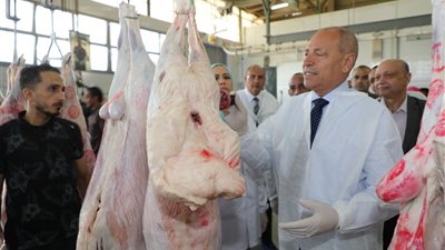 محافظ القاهرة يتفقد مجزر 15 مايو لمتابعة استعدادات عيد الأضحي 