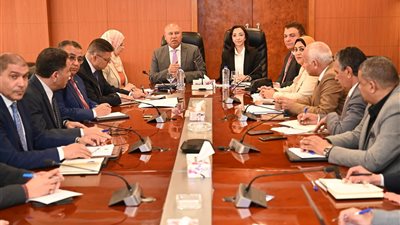 وزير الصناعة يبحث مع محافظ البحيرة المشكلات التي تواجه المستثمرين بالمحافظة