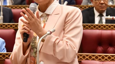 وزيرة البيئة للنواب: قانون المحميات قديم ولكنه ليس سيئ