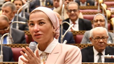 وزيرة البيئة: إنفاق 9 مليار جنيه لعمل إجراءات حماية الشواطئ في الإسكندرية