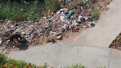 من قلب دمياط الجديدة.. تلال القمامة تحاصر المنطقة والأهالي: الحشرات بتهاجمنا
