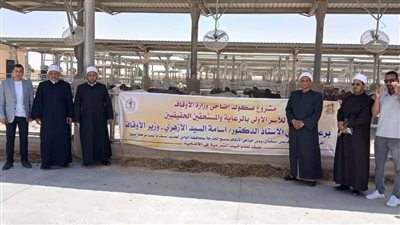 وزارة الأوقاف تواصل استقبال رؤوس الأضاحي من الأبقار السودانية