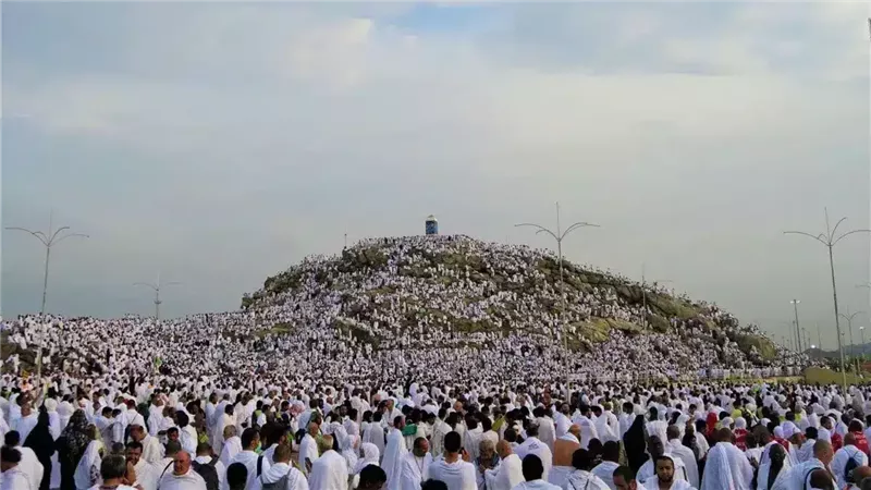 وقفة عرفات