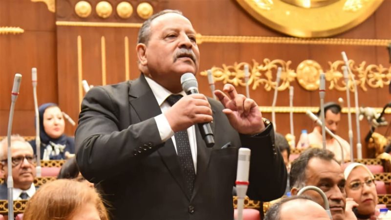 النائب أحمد شعبان
