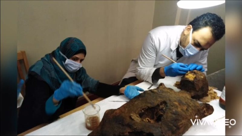 الدكتور مصطفى إسماعيل