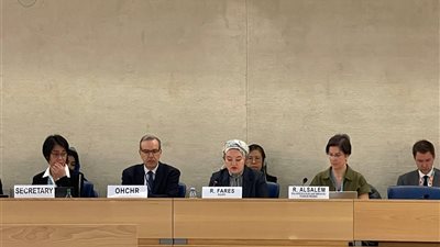 التضامن تشارك في «ورشة العمل الدولية لمجلس حقوق الإنسان» بالأمم المتحدة