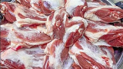 محافظ القاهرة: الذبح داخل المجازر الحكومية مجانًا حفاظًا على صحة المواطنين