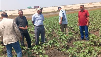 للنهوض بالقطاع.. 