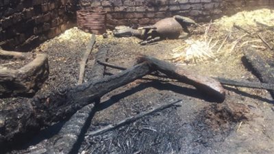 كارثة الفرن البلدي.. تفاصيل احتراق سيدتين في حريق حظيرة مواشي بقنا