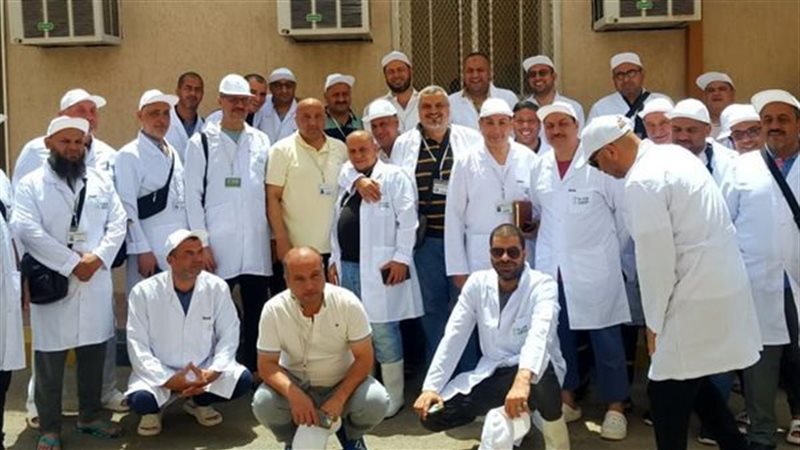 بعثة الأطباء البيطرين