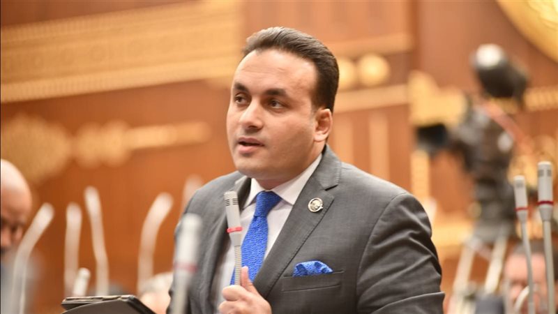 النائب عمرو فهمي