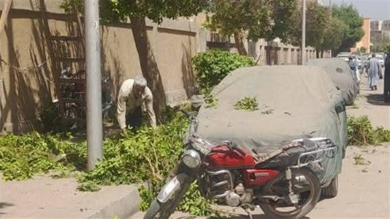 شوارع نجع حمادي تتزين