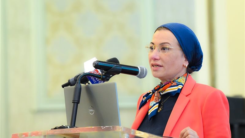 الدكتورة ياسمين فؤاد