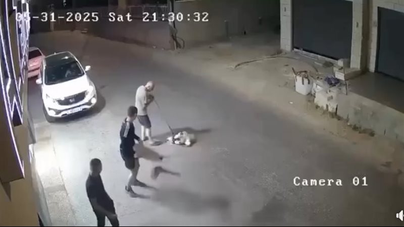 شاب يعتدي على كلب