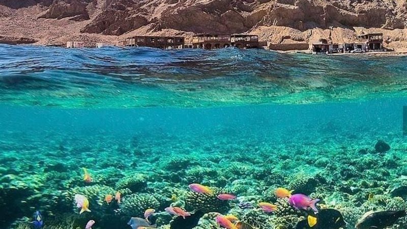 بعد اختيار شرم الشيخ