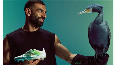 لن يُطرح في الأسواق.. 