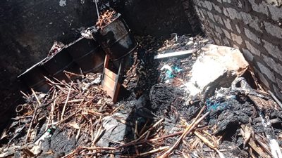 حريق يلتهم محتويات منزلين ونفوق ماشية بإحدى قرى سوهاج |صور