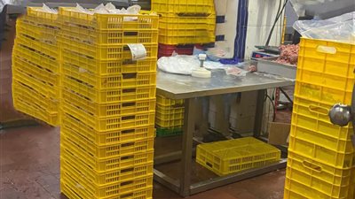 ضبط 300 كجم دهن حيواني بمصنع لحوم و2200 خرطوشة سجائر بدون فواتير في أبو كبير 