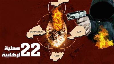 22 حادثة.. الأزهر: ارتفاع عدد العمليات الإرهابية في غرب إفريقيا خلال مايو