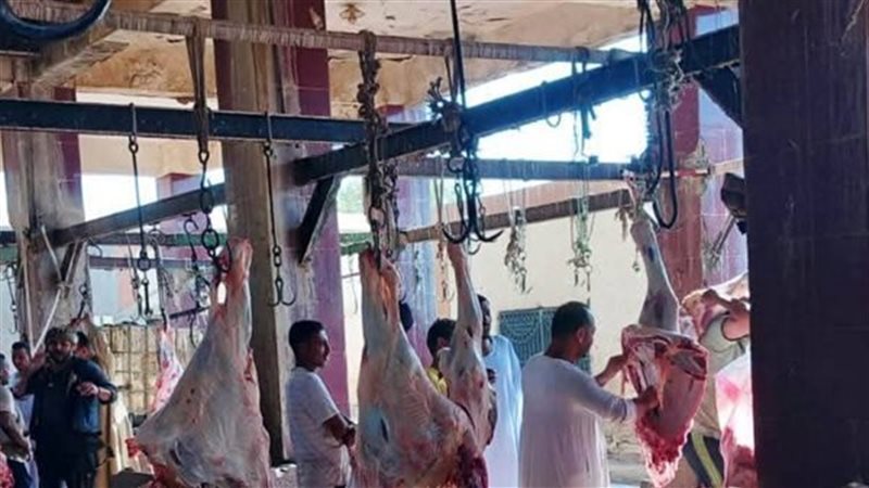 محلات الجزارة
