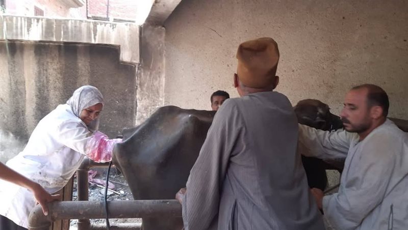 جانب من عملية العلاج