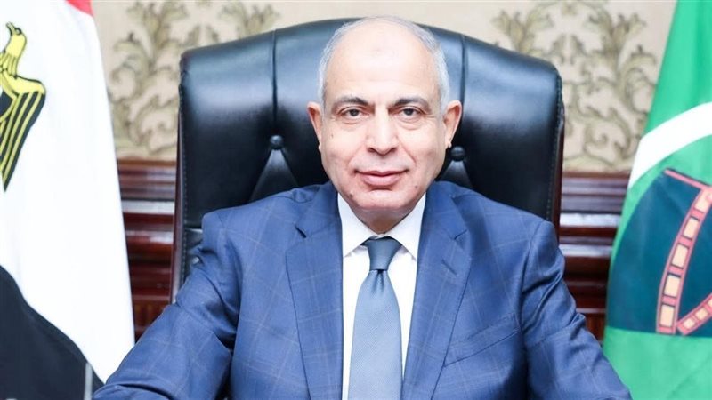 محافظ المنيا