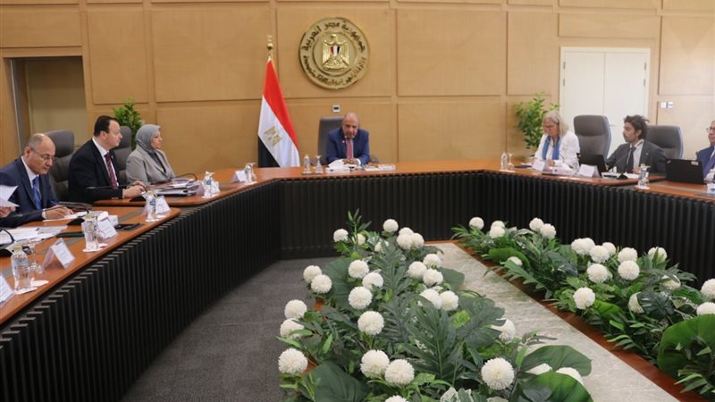 وزير الكهرباء