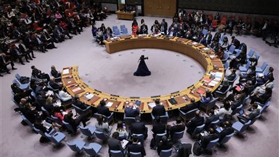 الولايات المتحدة ترفض مشروع قرار وقف النار في غزة: الفيتو هو الحل