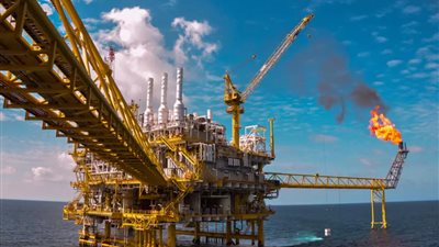 «الغرف التجارية»: دول الخليج الشريك التجاري الأكبر لمصر واستثمارات مشتركة