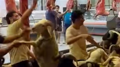 دلّع الروح قبل ما تروح.. جزار يحتفل بالزمر والطبل ويشعل مواقع التواصل