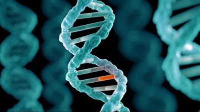 سببها متبرع قديم.. تحذير من طفرة وراثية “خطيرة” في إسرائيل يثير القلق 