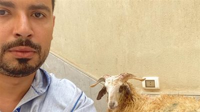 محمد أنور يداعب جمهوره بصورة مع خروف العيد : «أهرب هيموتوك يا غبي»