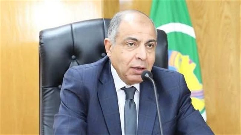 محافظ المنيا