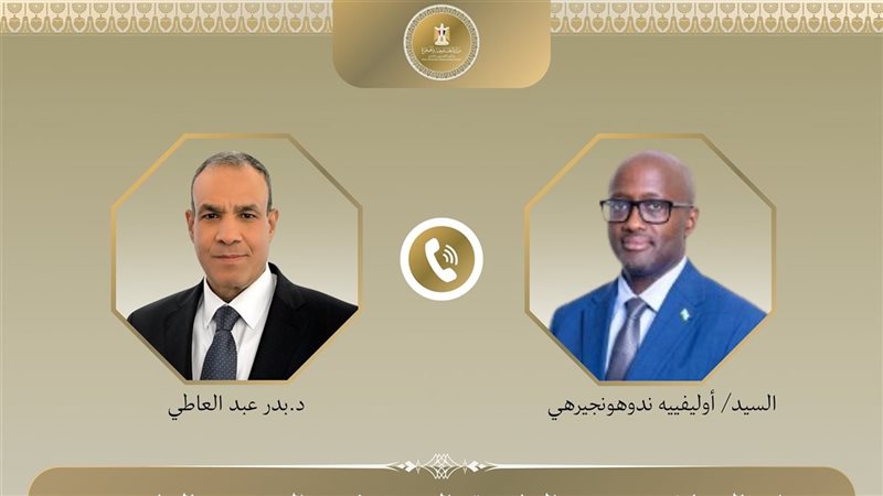 وزيري خارجية مصر
