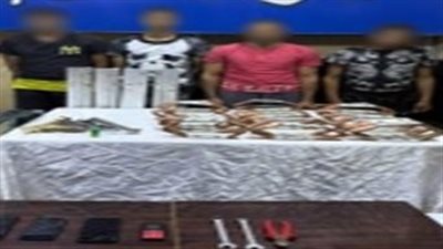 عصابة سرقة «كابلات وألواح» مشروعات دار السلام.. في قبضة الأمن