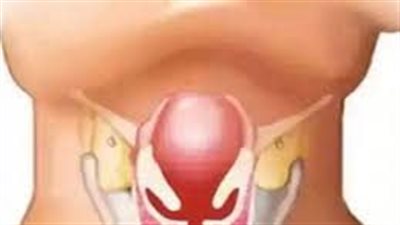 شهد أعلى معدل إصابات منذ 70 عامًا في أوروبا..معلومات عن مرض الخناق