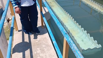 صحة البيئة تتابع ميدانياً حمامات السباحة والمتنزهات العامة ودور العبادة 