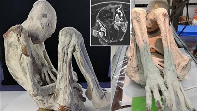 اكتشاف “جنين فضائي” داخل مومياء في بيرو يثير صدمة علمية