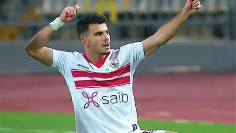 محمد السيد زيزو
