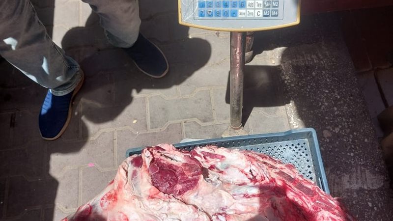 محافظة اسيوط