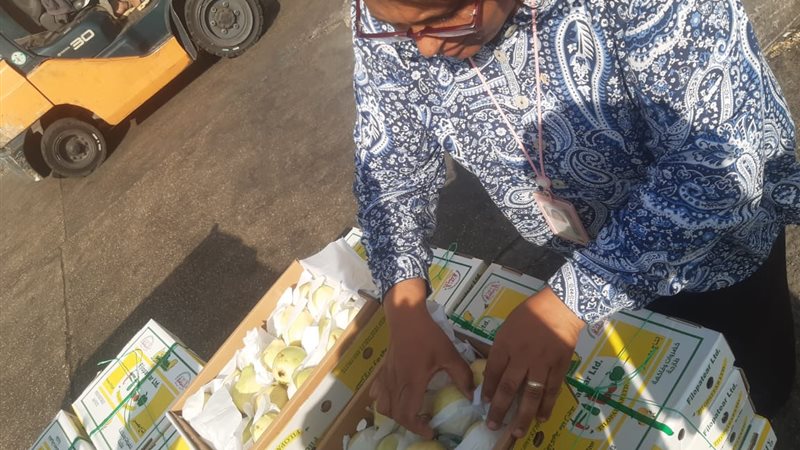 حملات تفتيشية